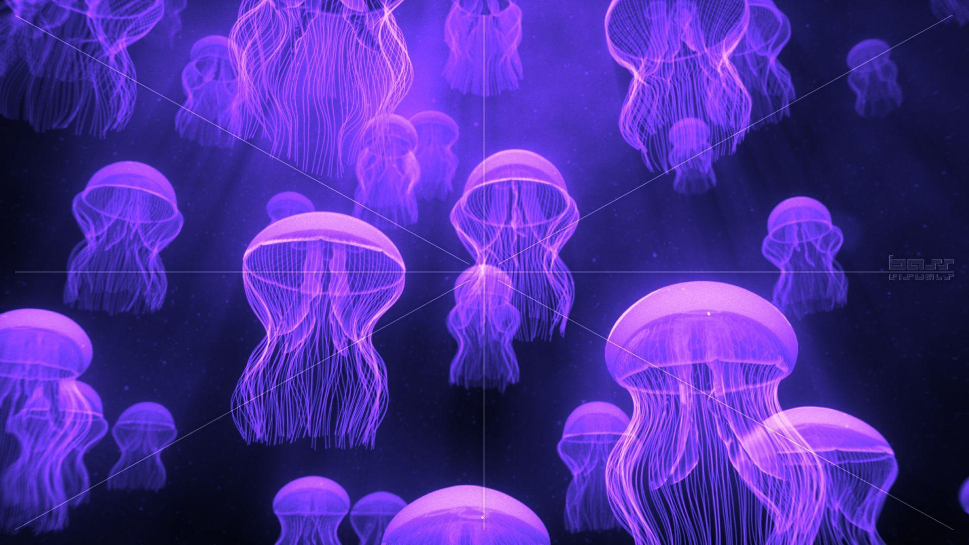 Neon Jellyfish Wallpapers