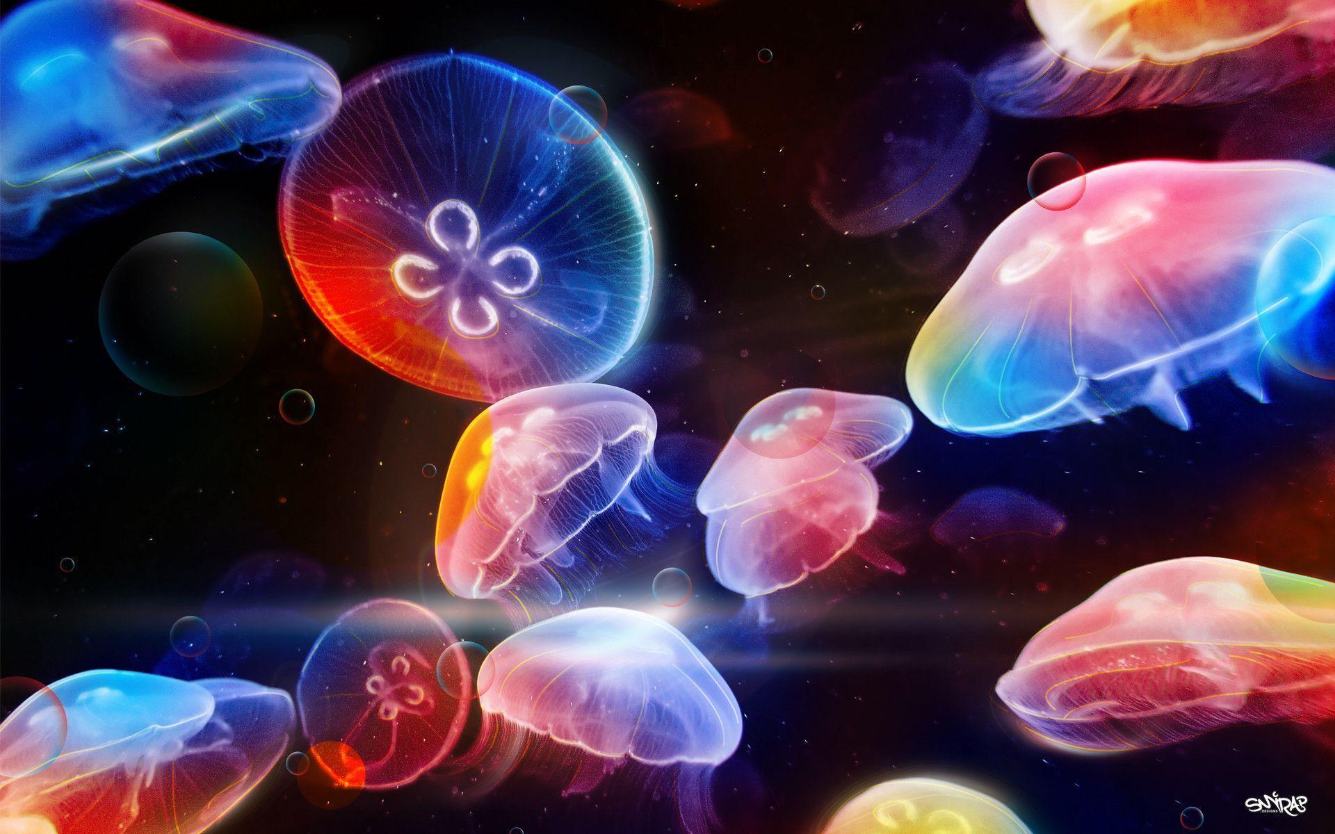 Neon Jellyfish Wallpapers