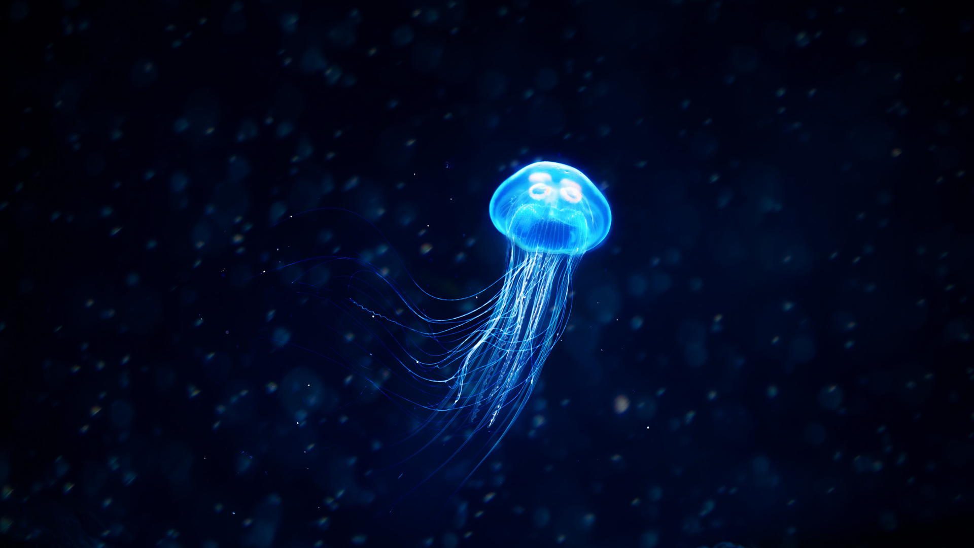 Neon Jellyfish Wallpapers