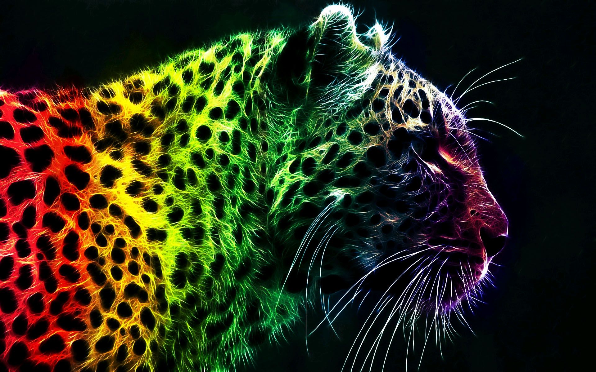 Neon Leopard Wallpapers