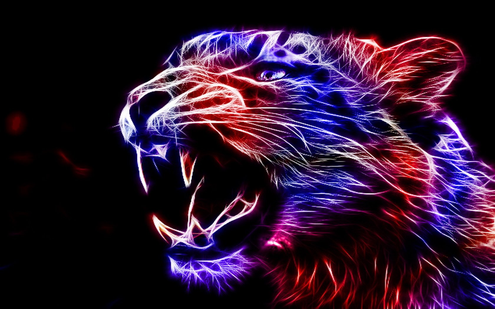 Neon Leopard Wallpapers