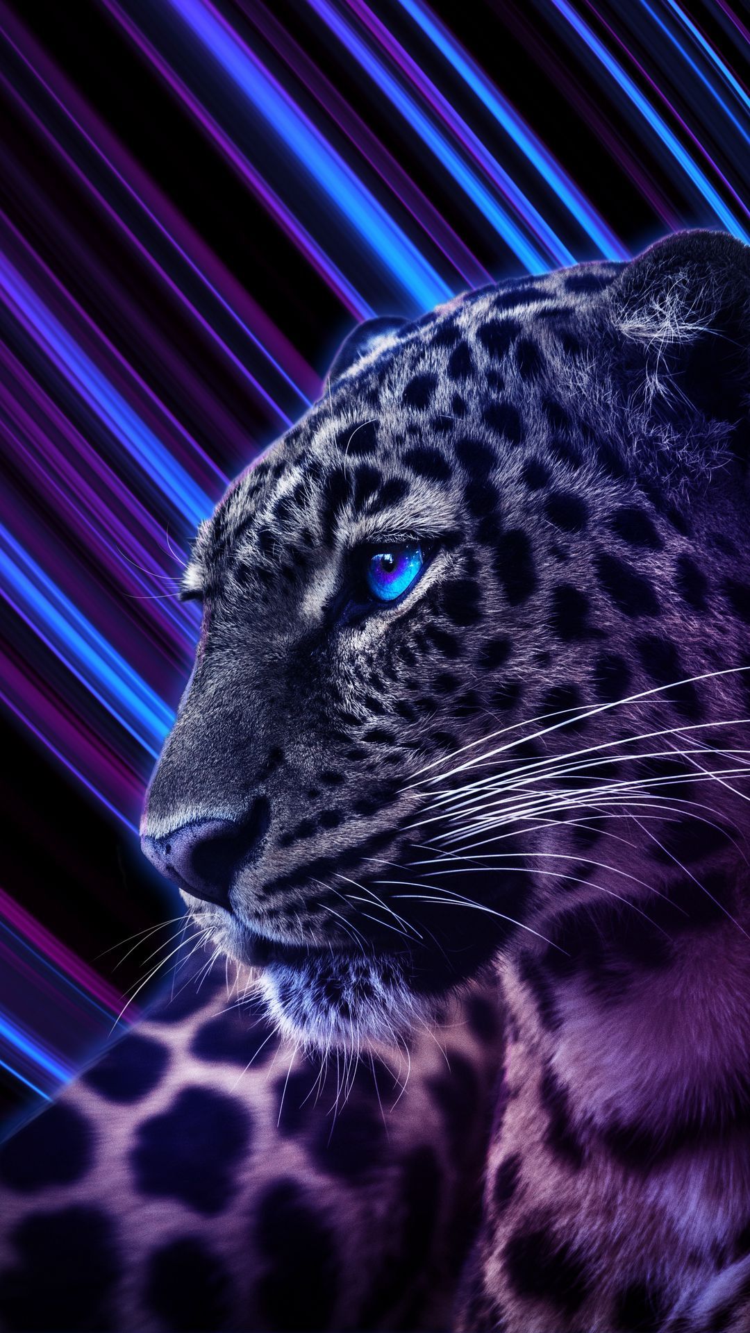 Neon Leopard Wallpapers