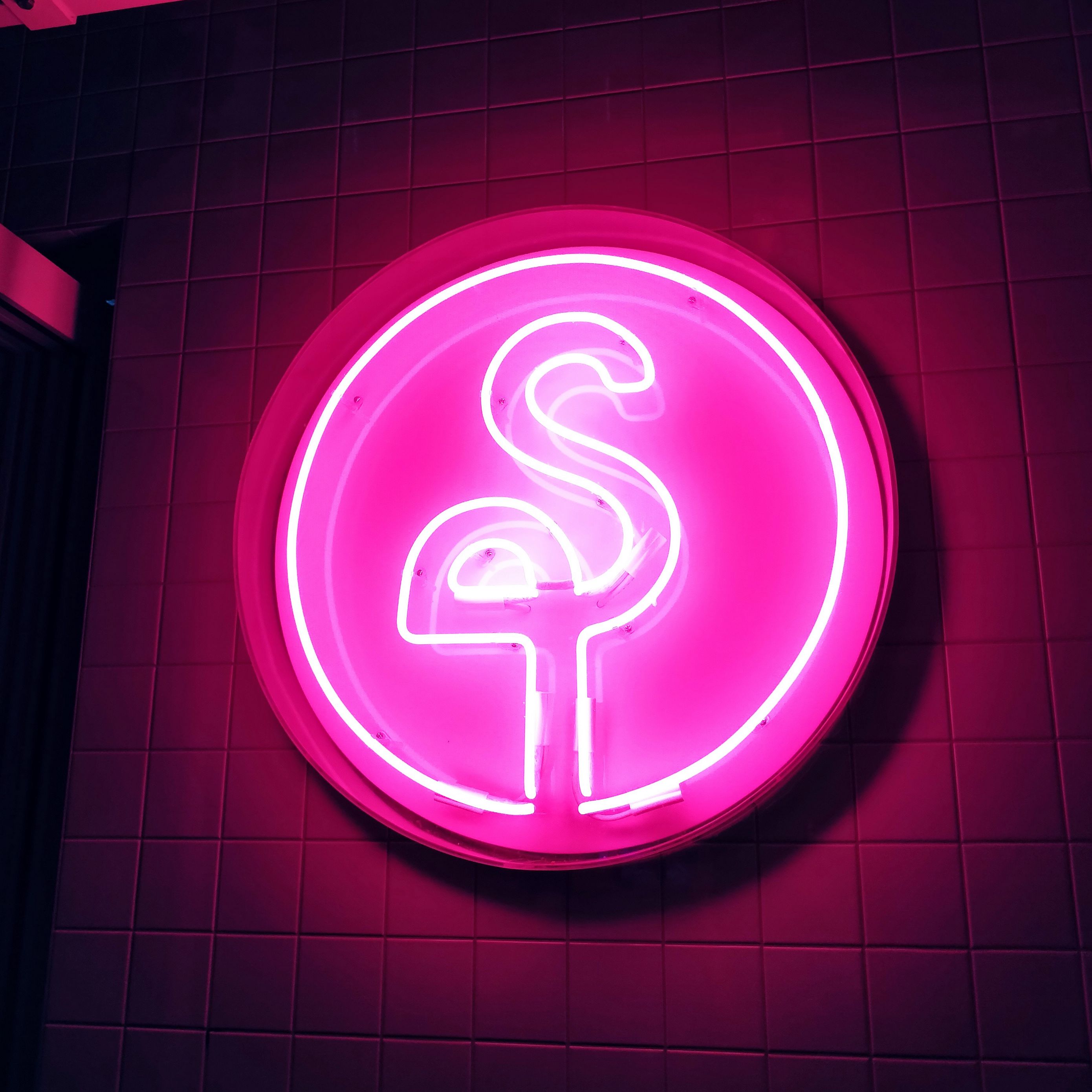 Neon Money Wallpapers