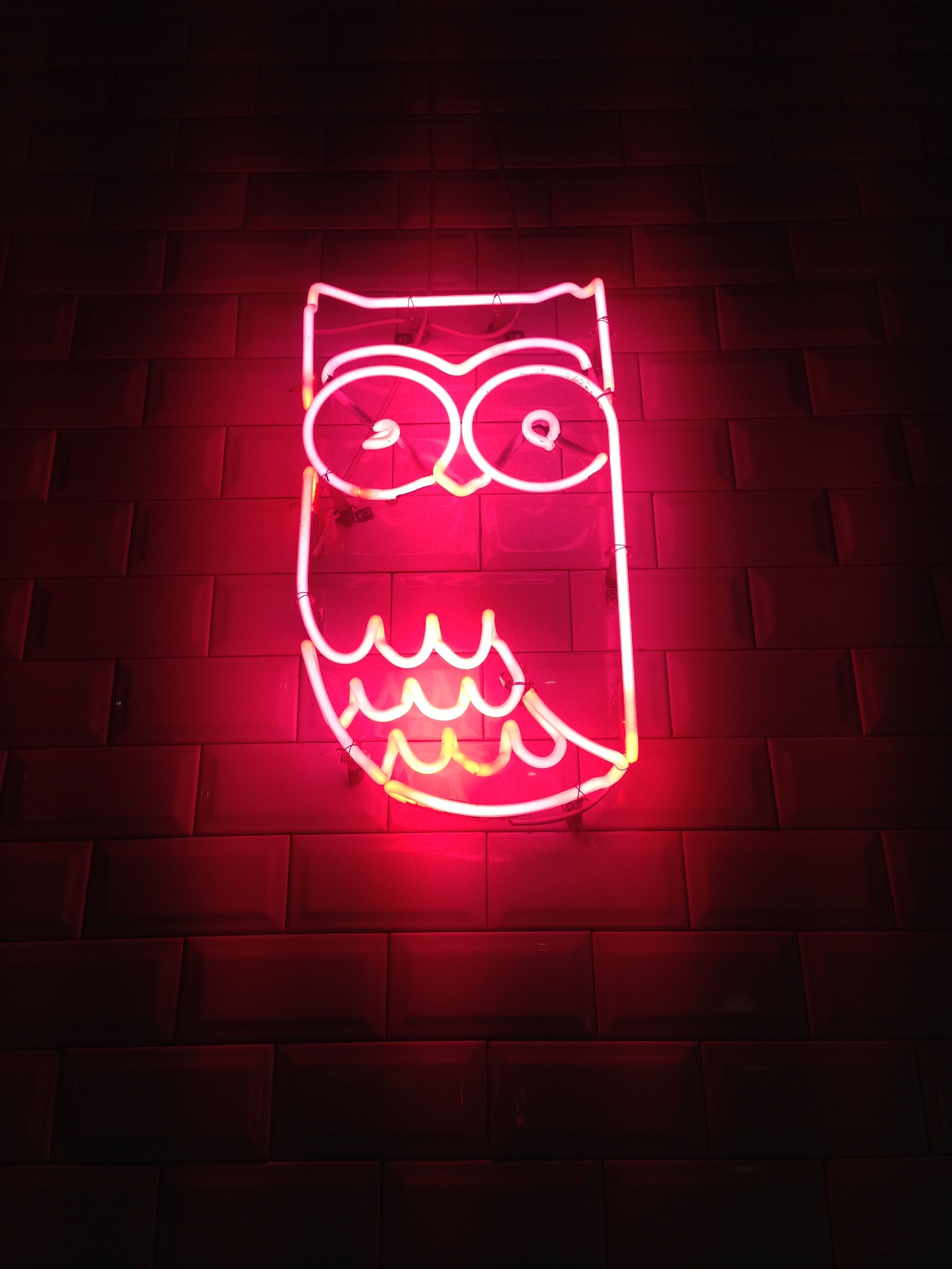 Neon Owl Wallpapers