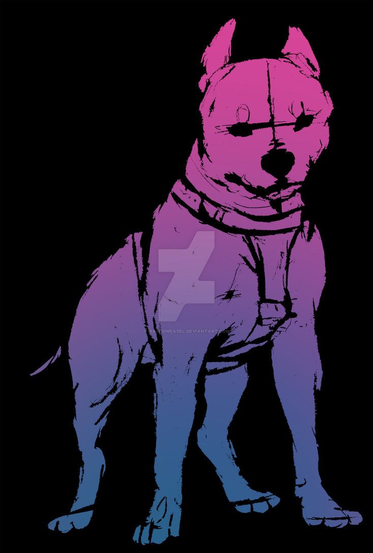 Neon Pitbull Wallpapers