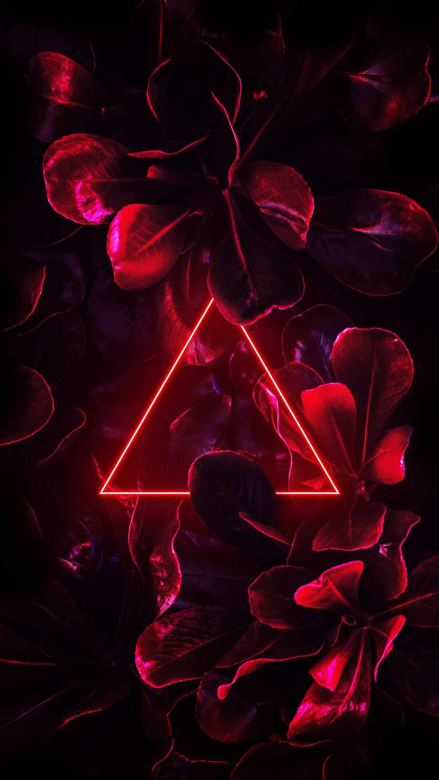 Neon Triangle Wallpapers