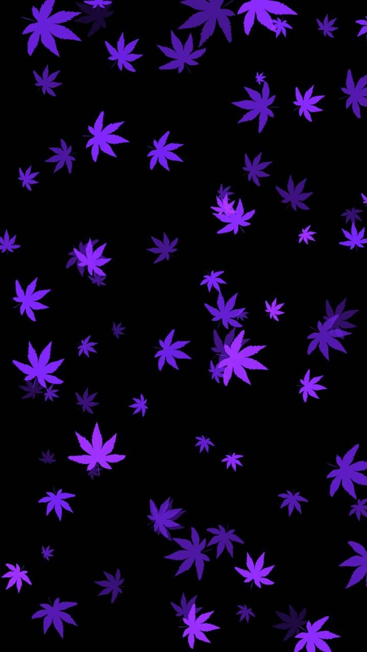 Neon Weed Wallpapers