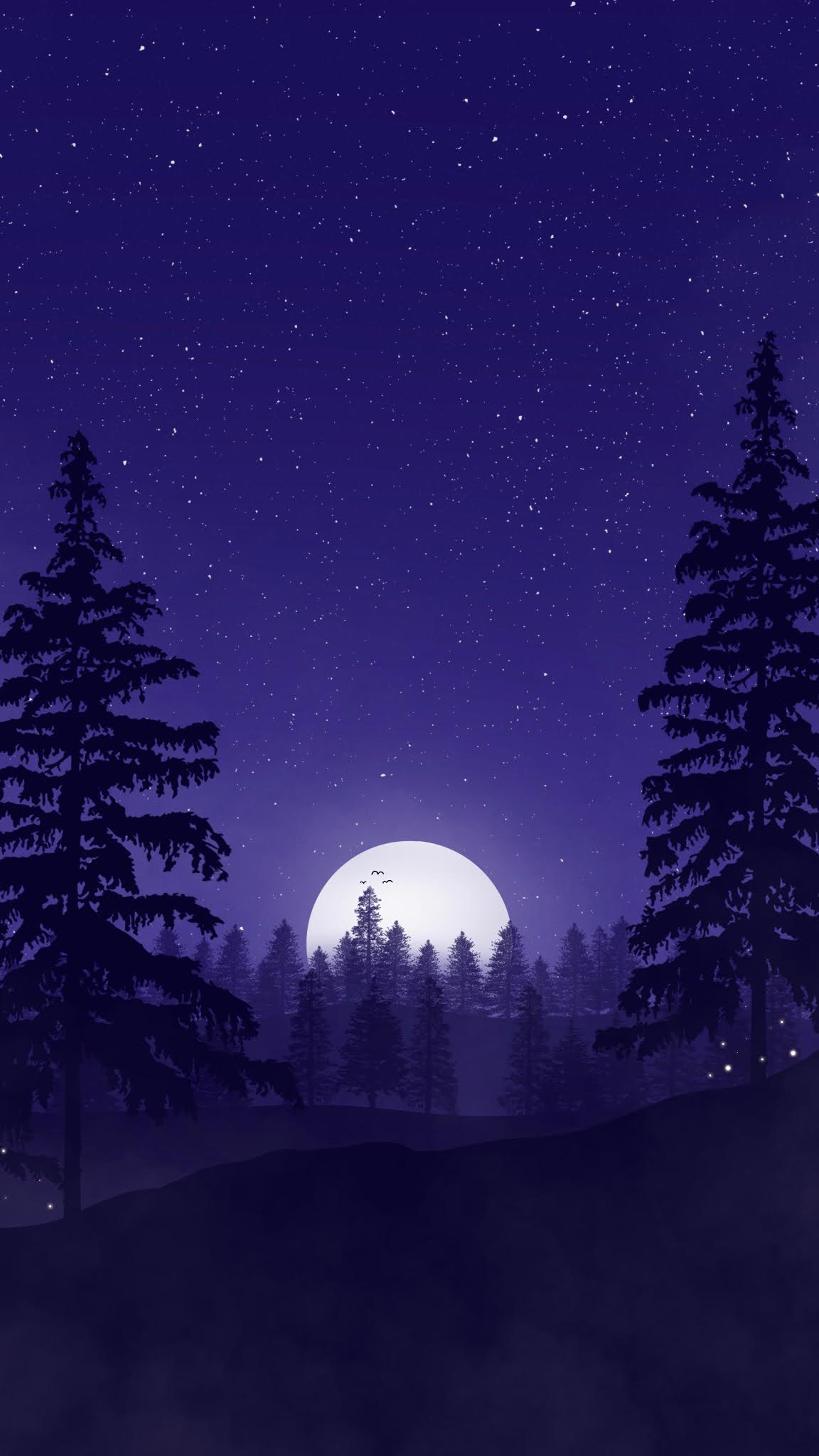 Night Forest Wallpapers