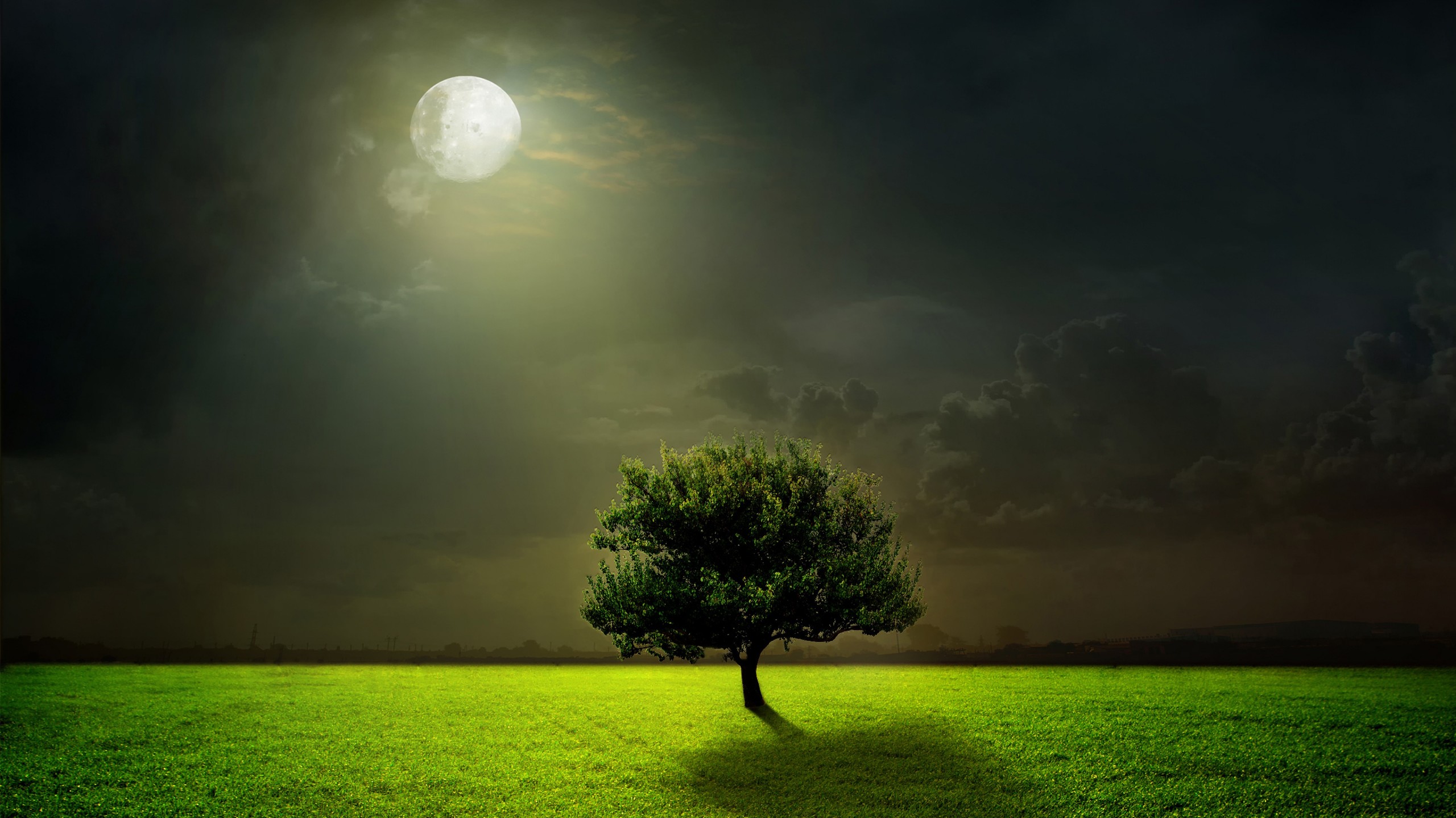 Night Nature Wallpapers