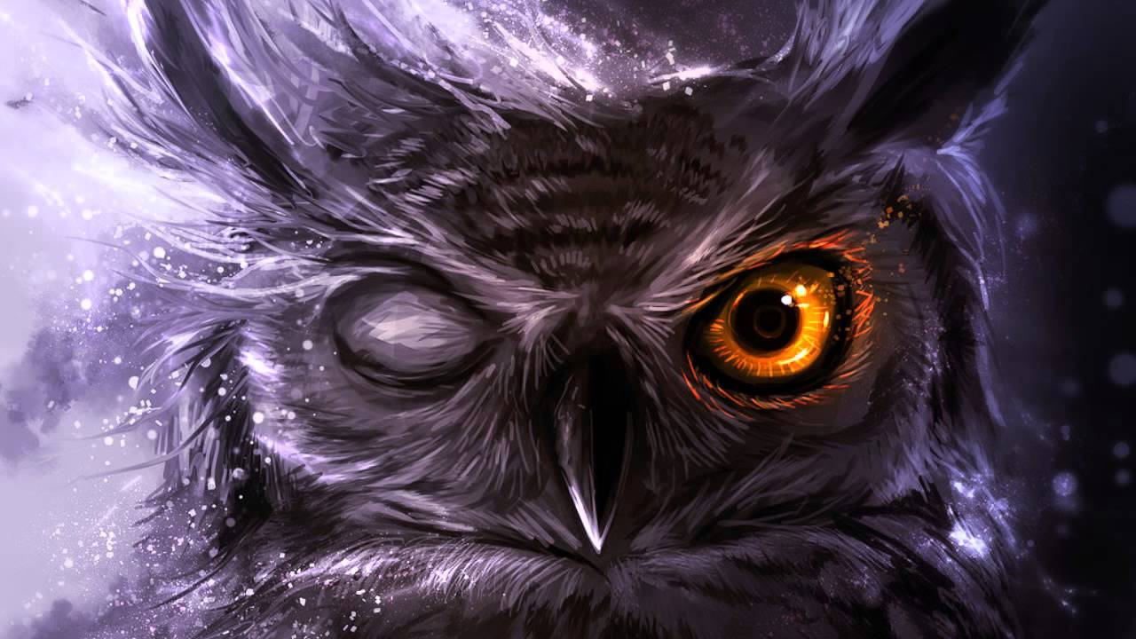 Night Owl Wallpapers