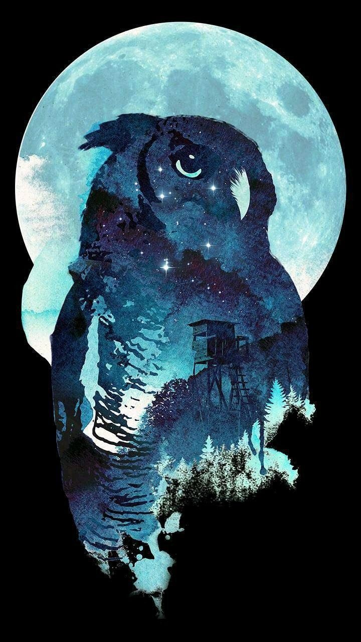 Night Owl Wallpapers