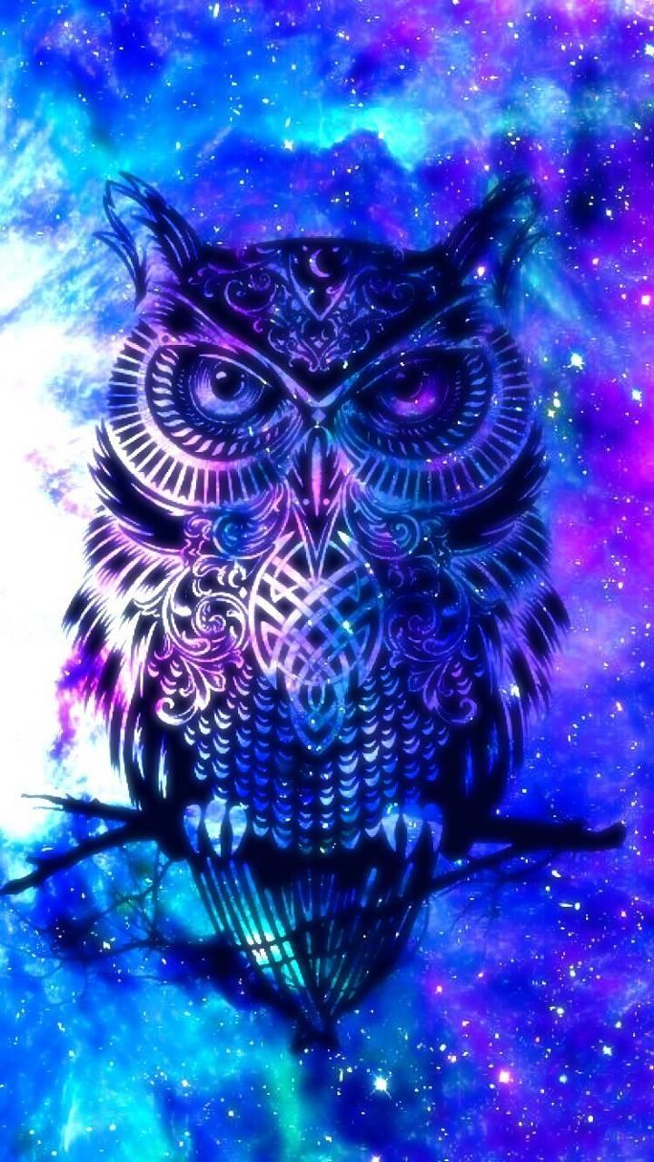 Night Owl Wallpapers