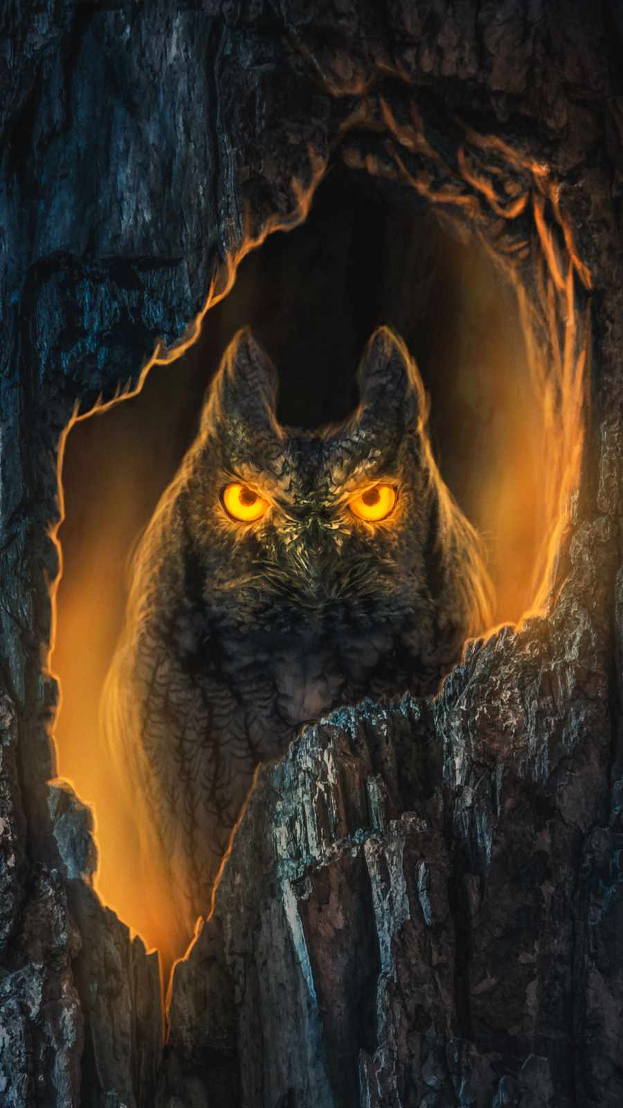 Night Owl Wallpapers