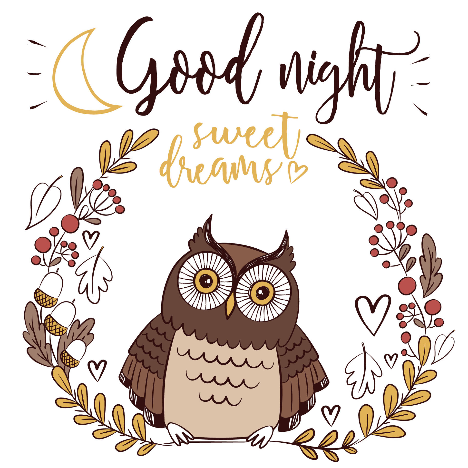 Night Owl Wallpapers