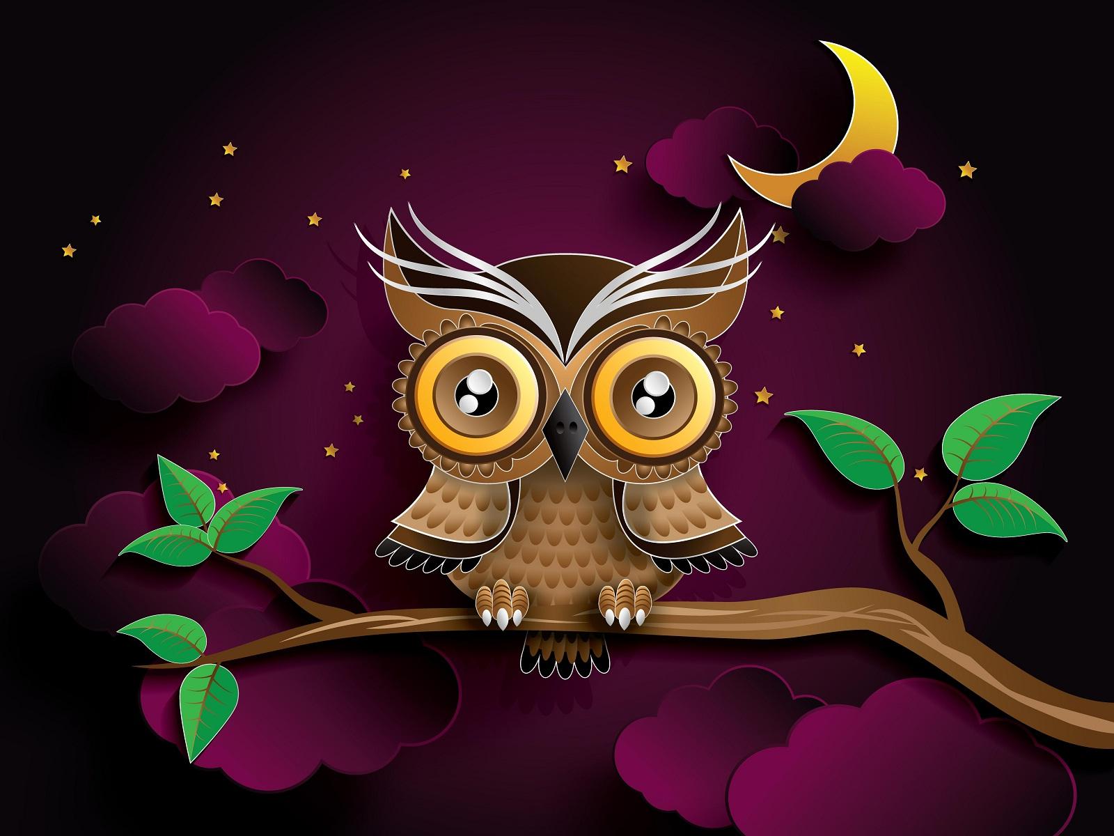 Night Owl Wallpapers