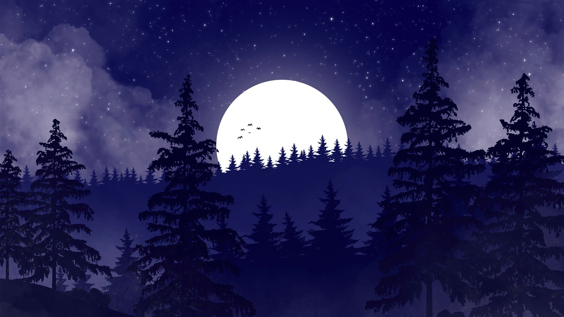 Night Time Forest Wallpapers