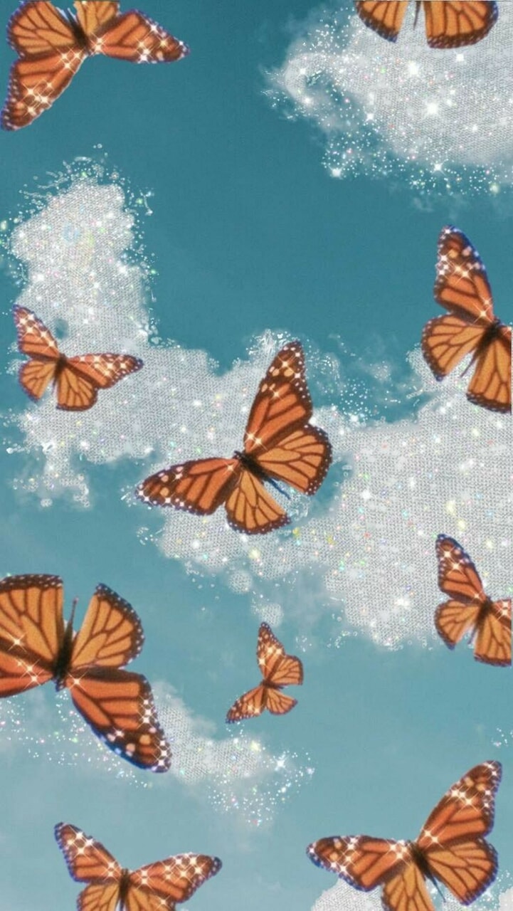 Orange Butterfly Wallpapers