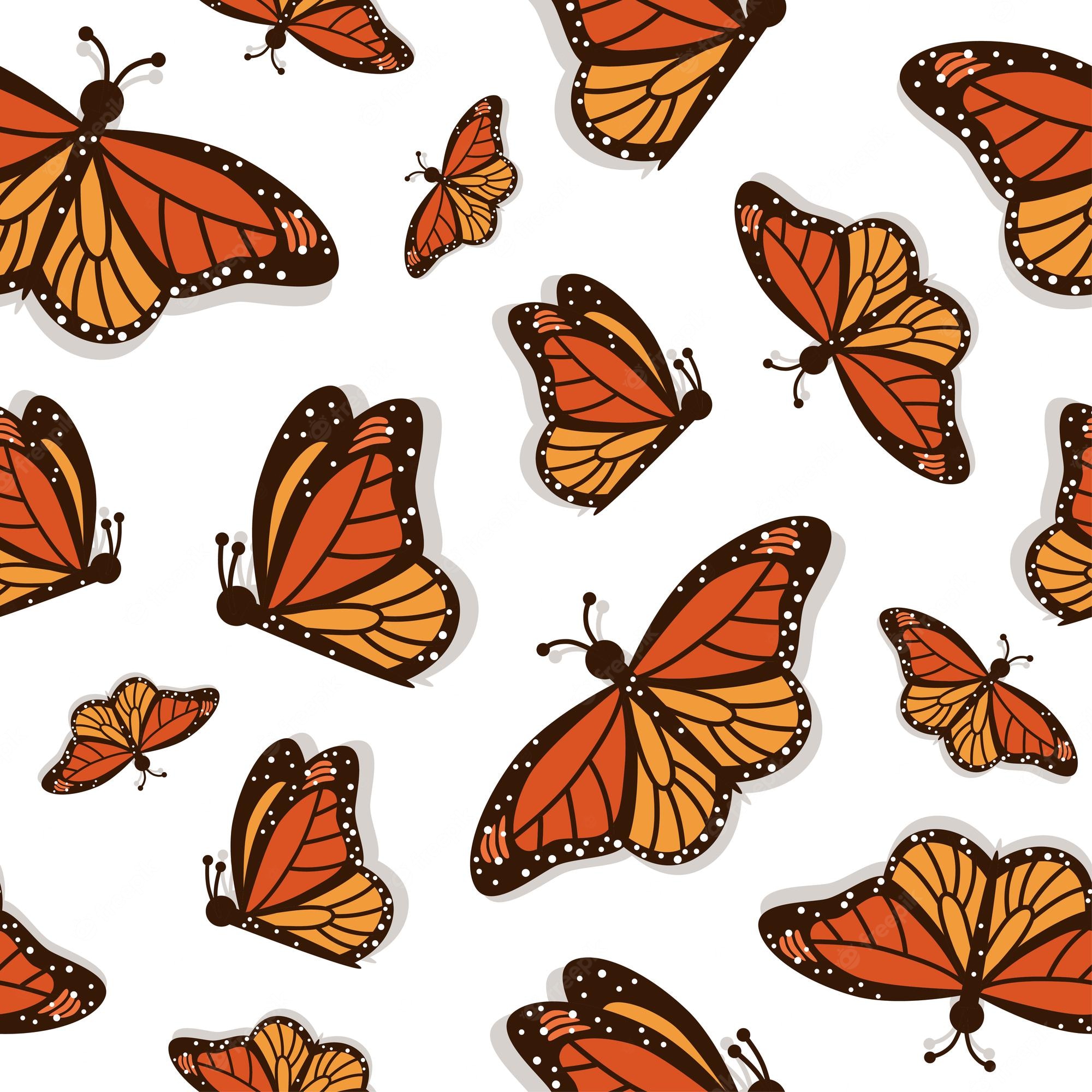 Orange Butterfly Wallpapers