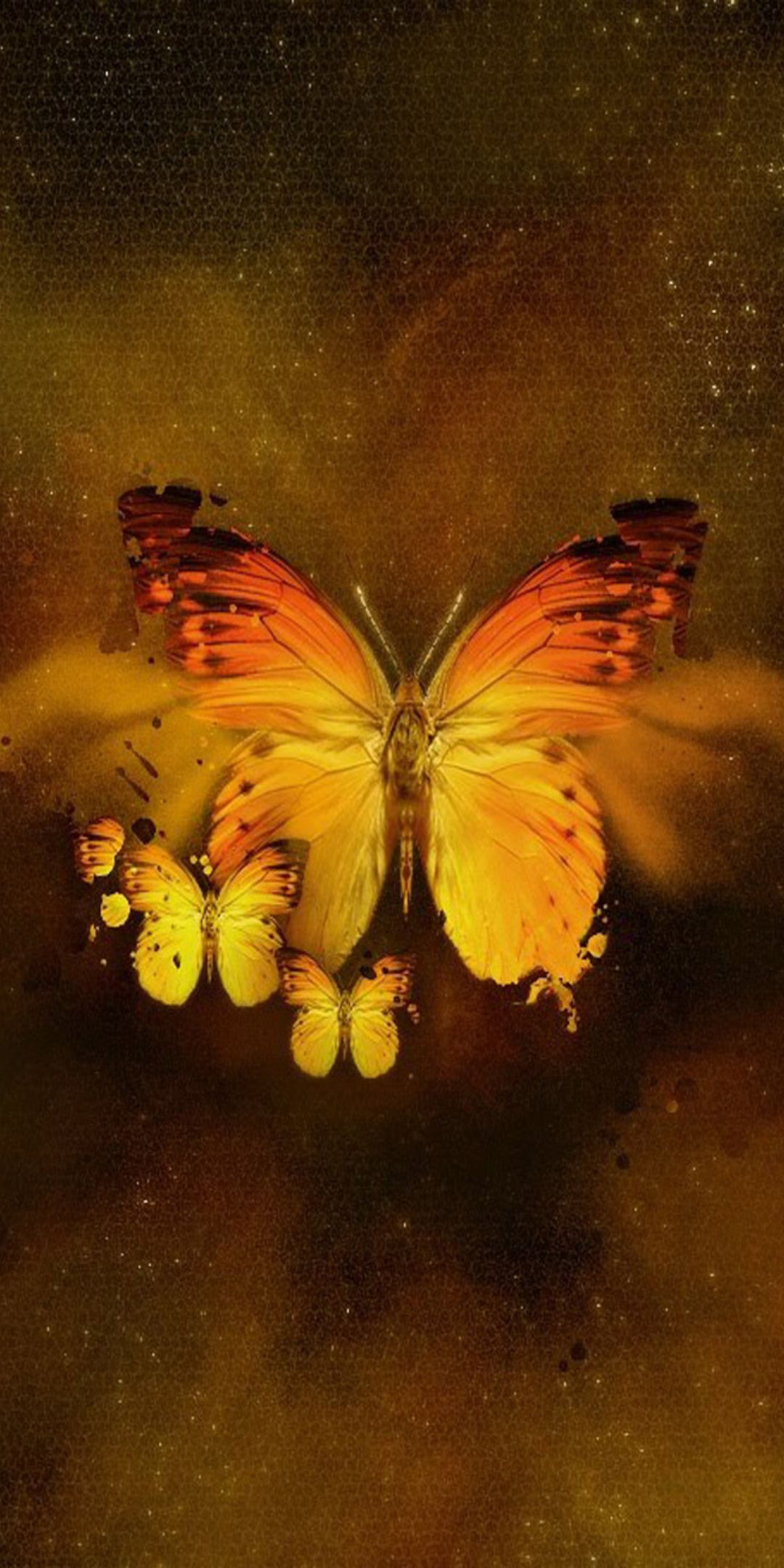 Orange Butterfly Iphone Wallpapers