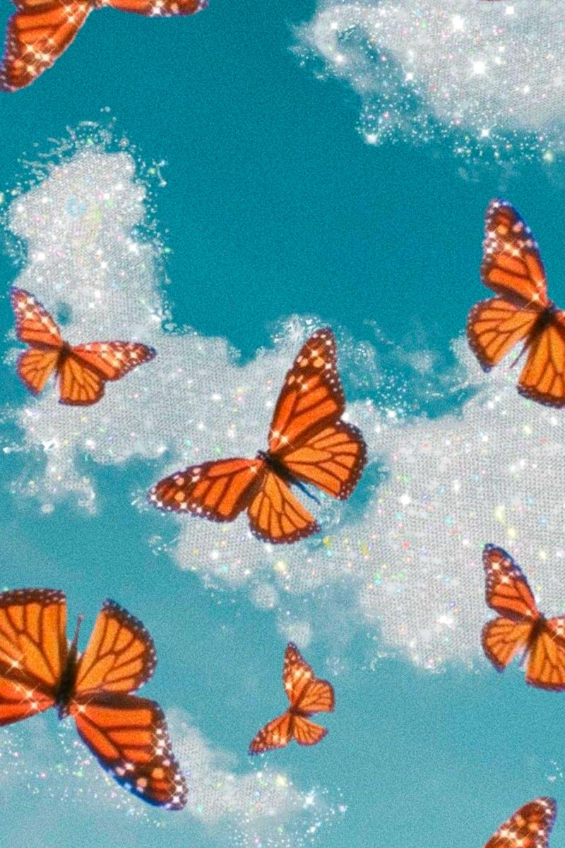 Orange Butterfly Iphone Wallpapers