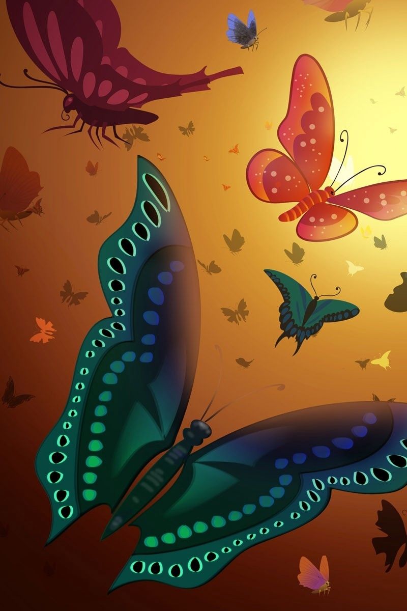 Orange Butterfly Iphone Wallpapers