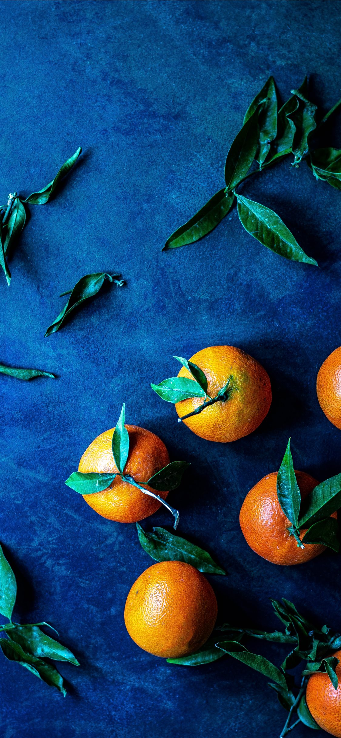 Orange Fruit Wallpapers