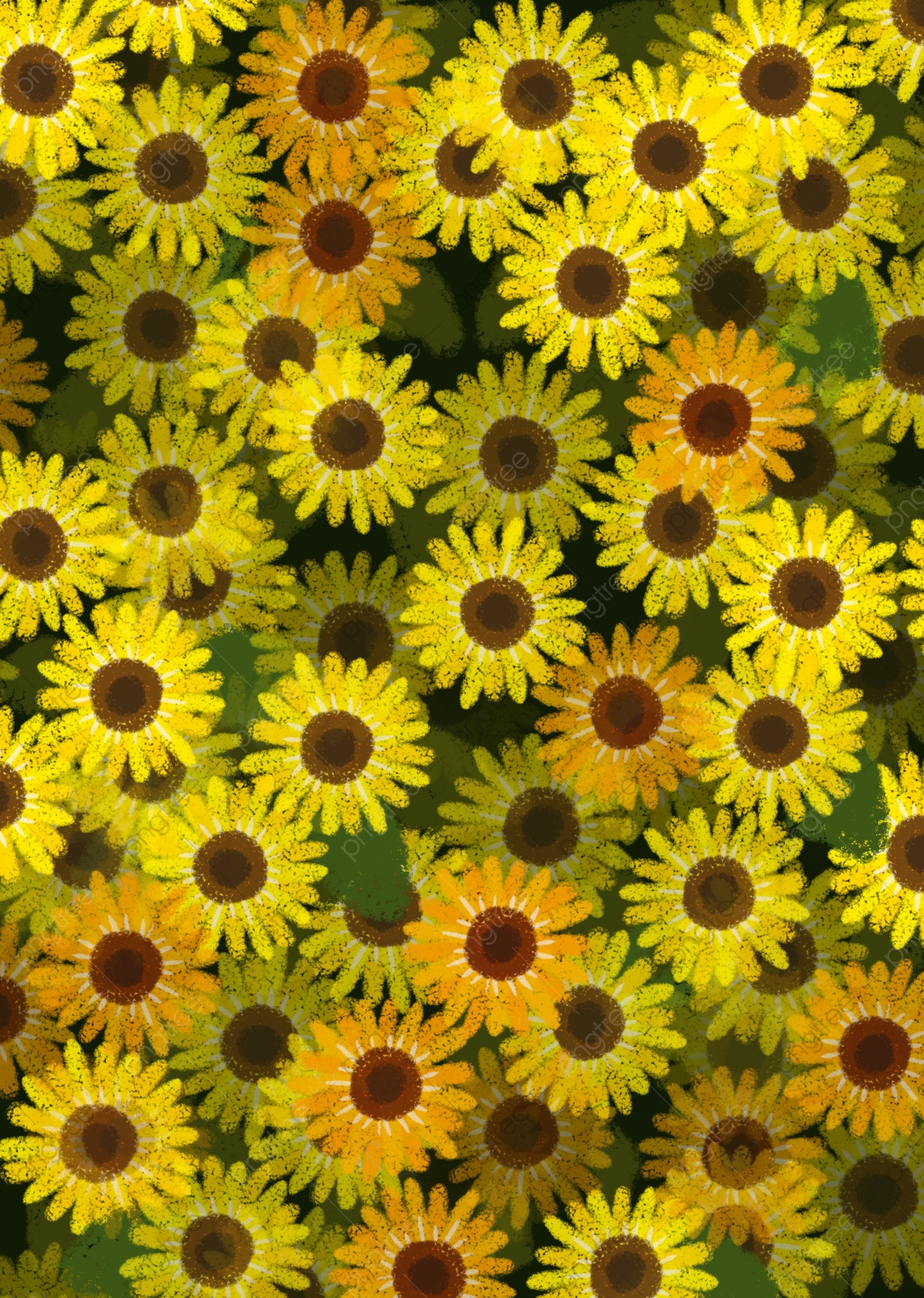 Orange Sunflower Wallpapers