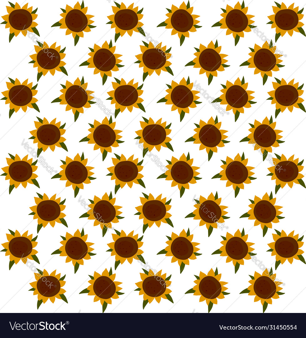 Orange Sunflower Wallpapers