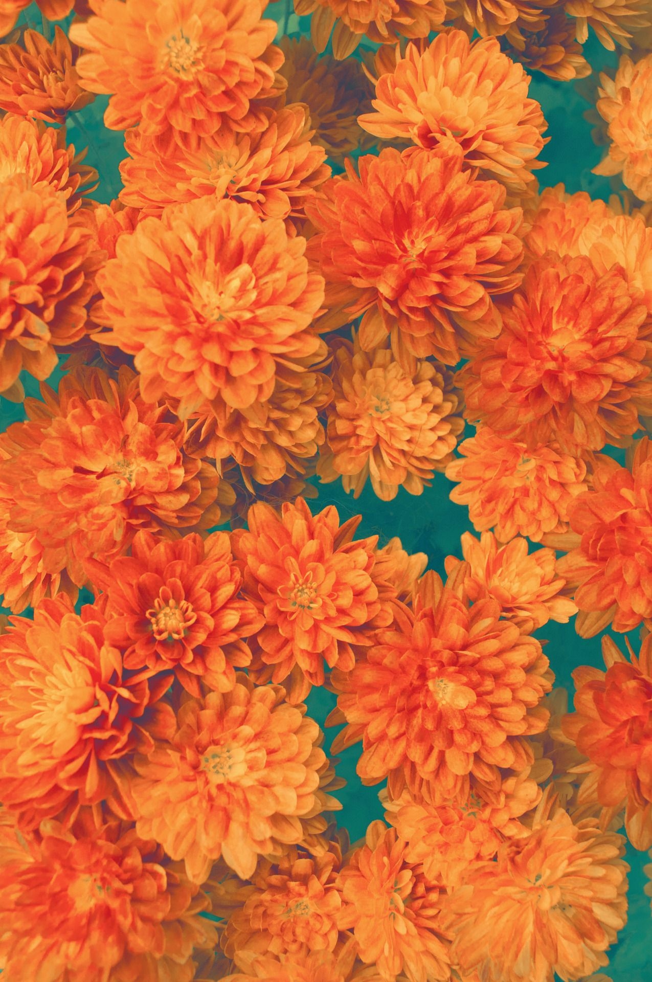 Orange Tumblr Aesthetic Wallpapers