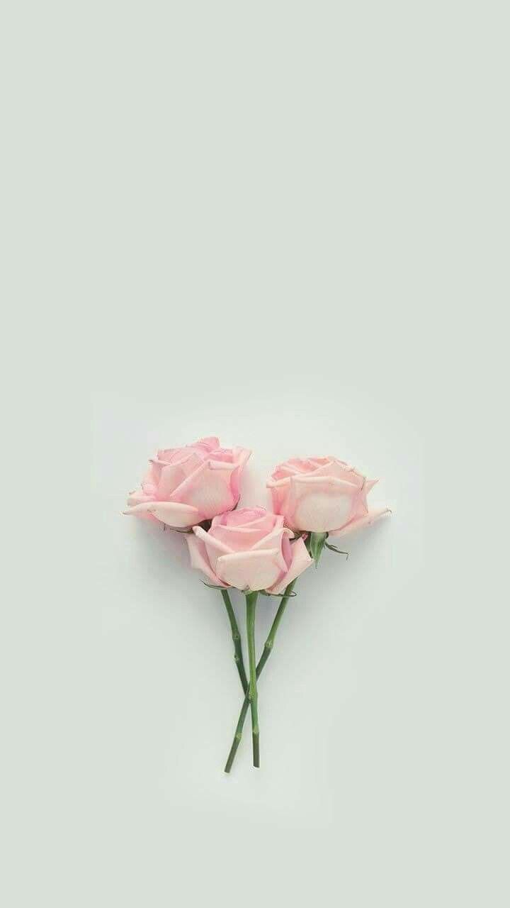 Pastel Aesthetic Flower Wallpapers