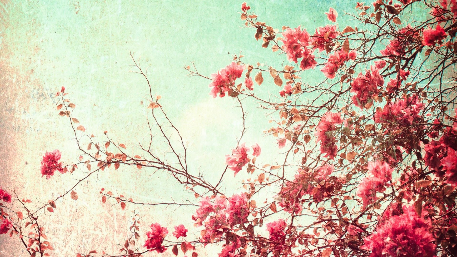 Pastel Aesthetic Flower Wallpapers