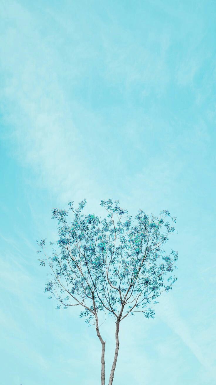 Pastel Blue Aesthetic Iphone Wallpapers