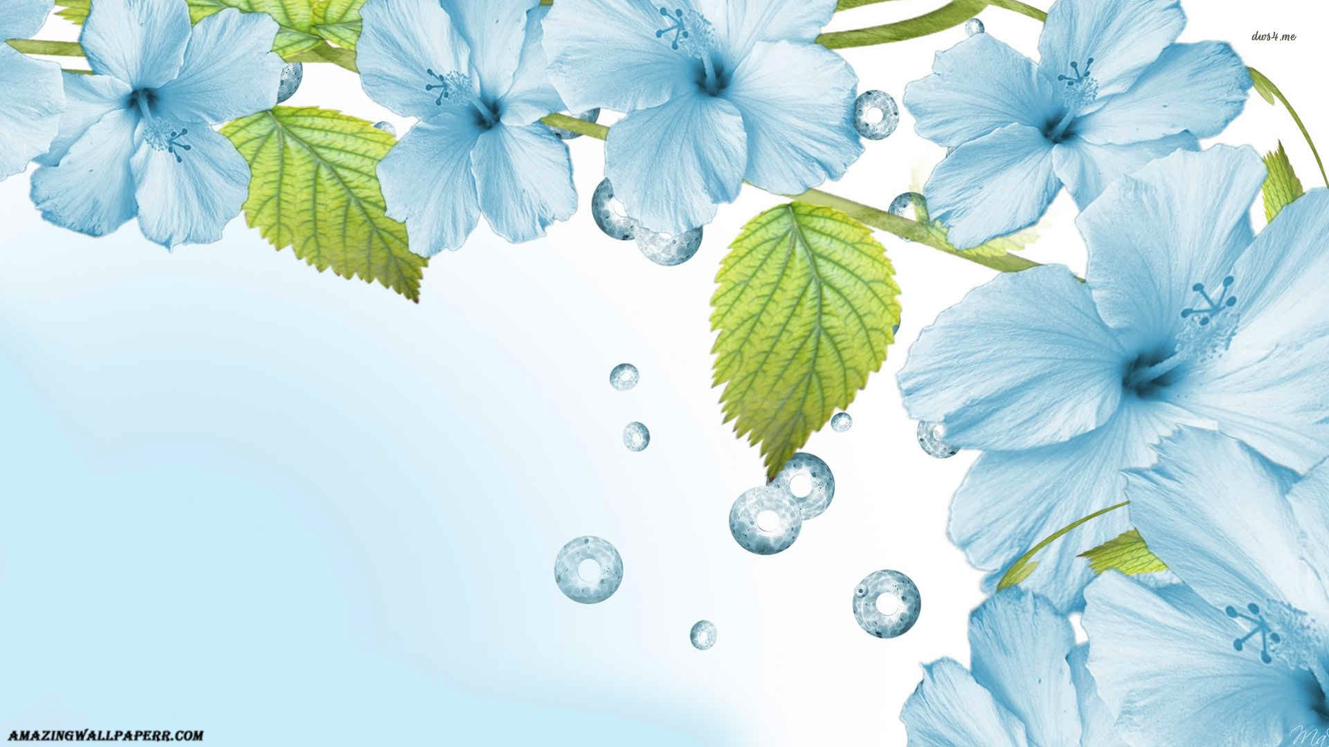 Pastel Blue Flower Wallpapers