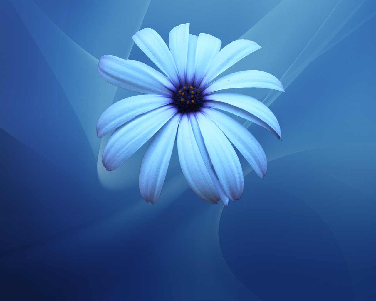 Pastel Blue Flower Wallpapers