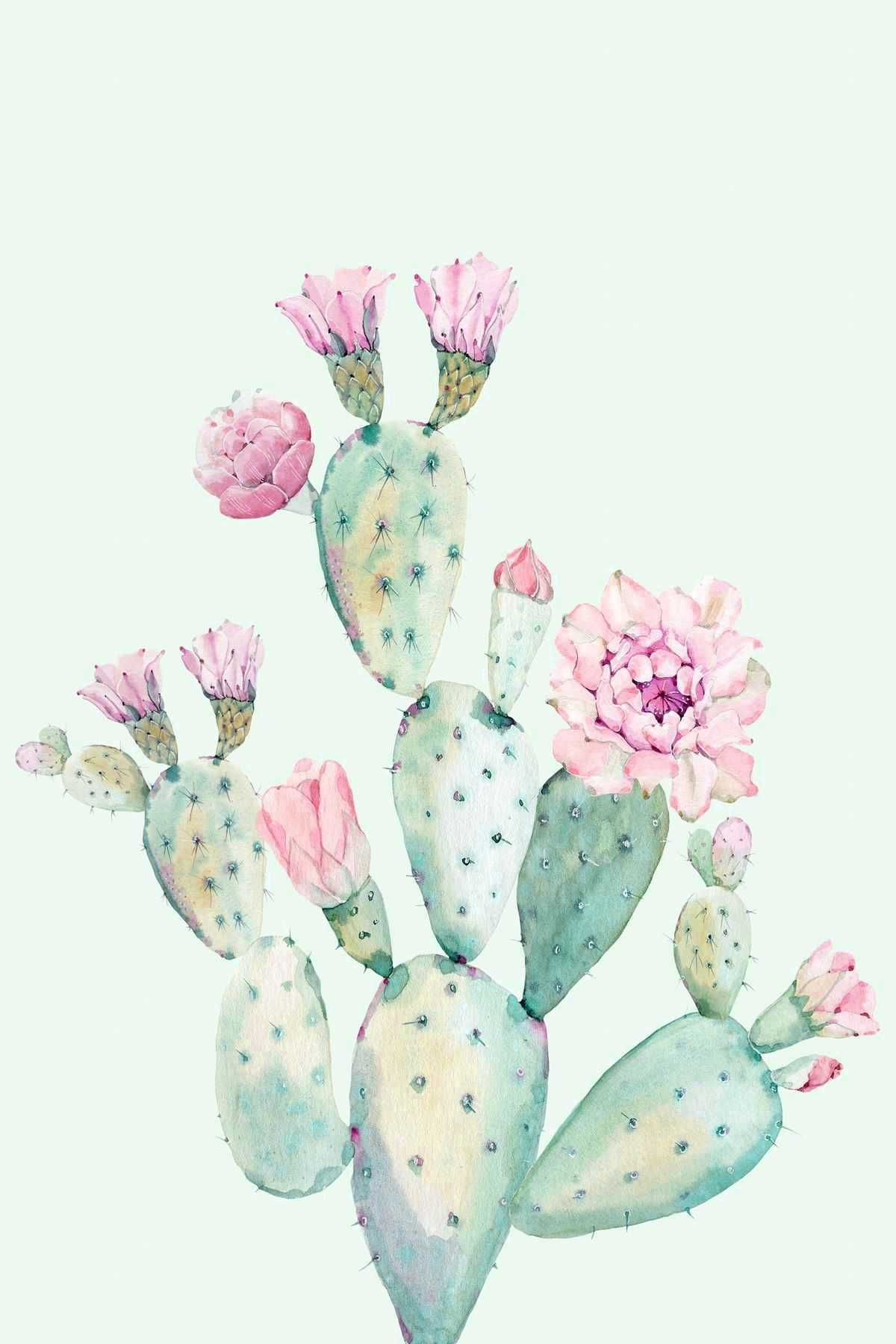 Pastel Cactus Wallpapers