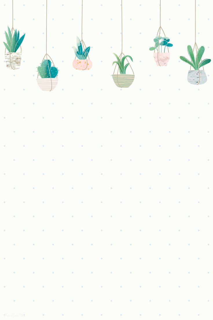 Pastel Cactus Wallpapers