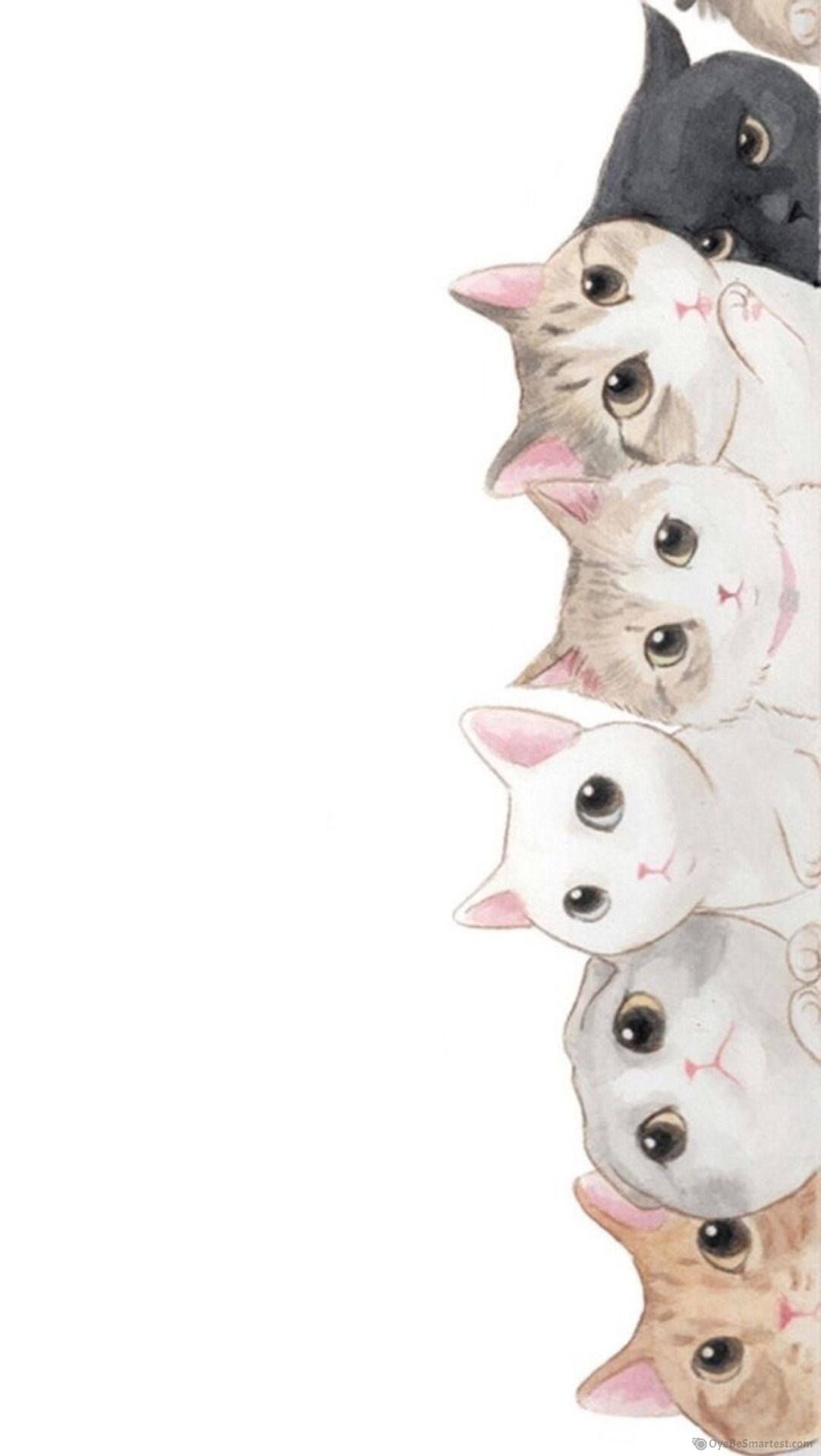 Pastel Cat Wallpapers