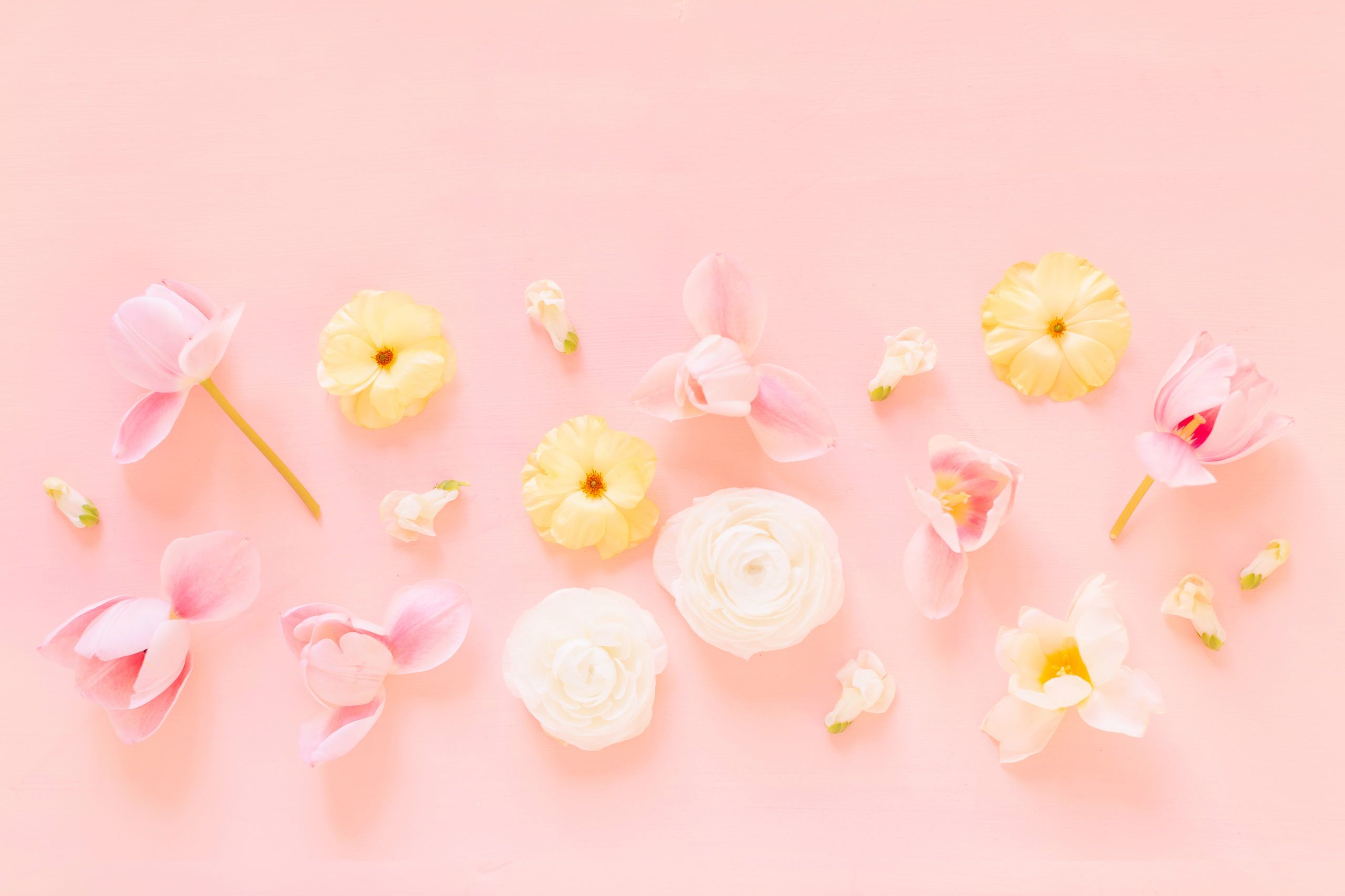 Pastel Flower Wallpapers