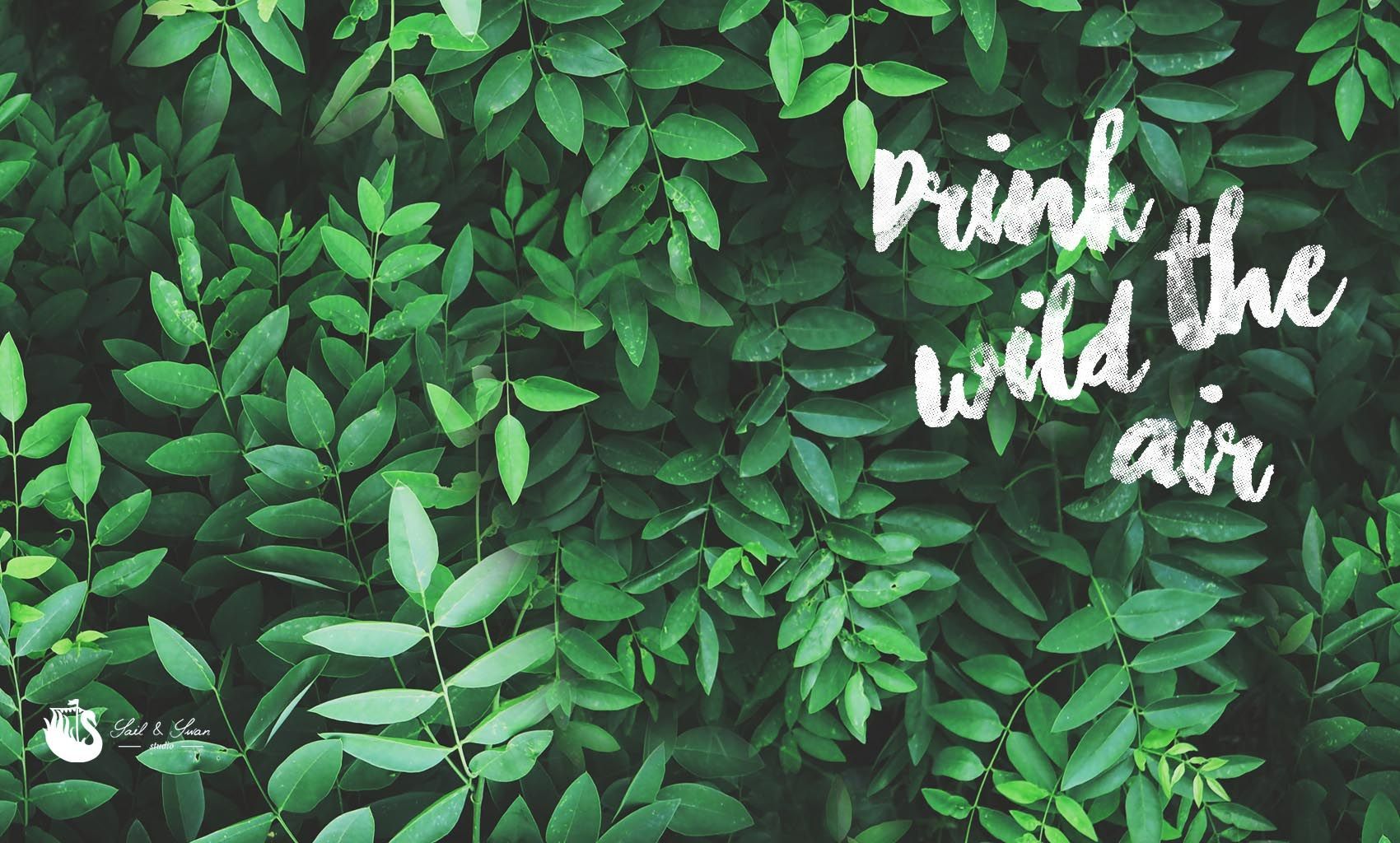 Pastel Green Aesthetic Wallpapers