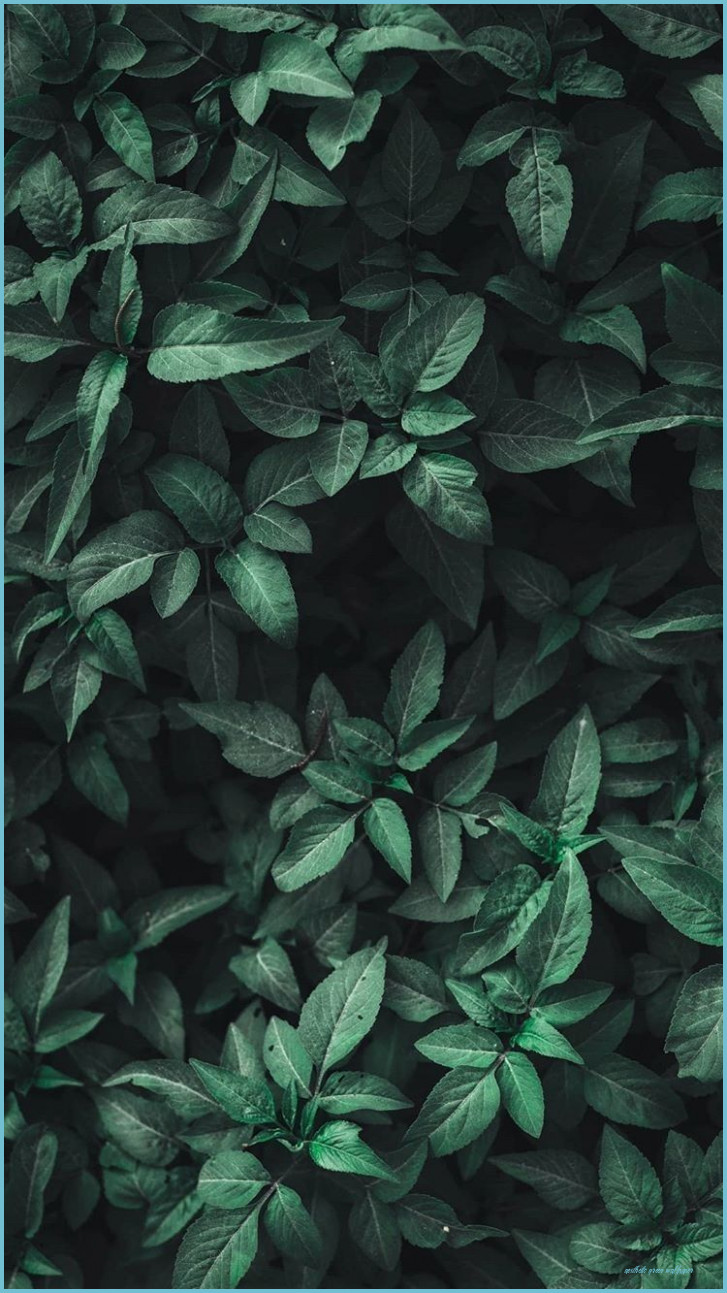 Pastel Green Aesthetic Wallpapers