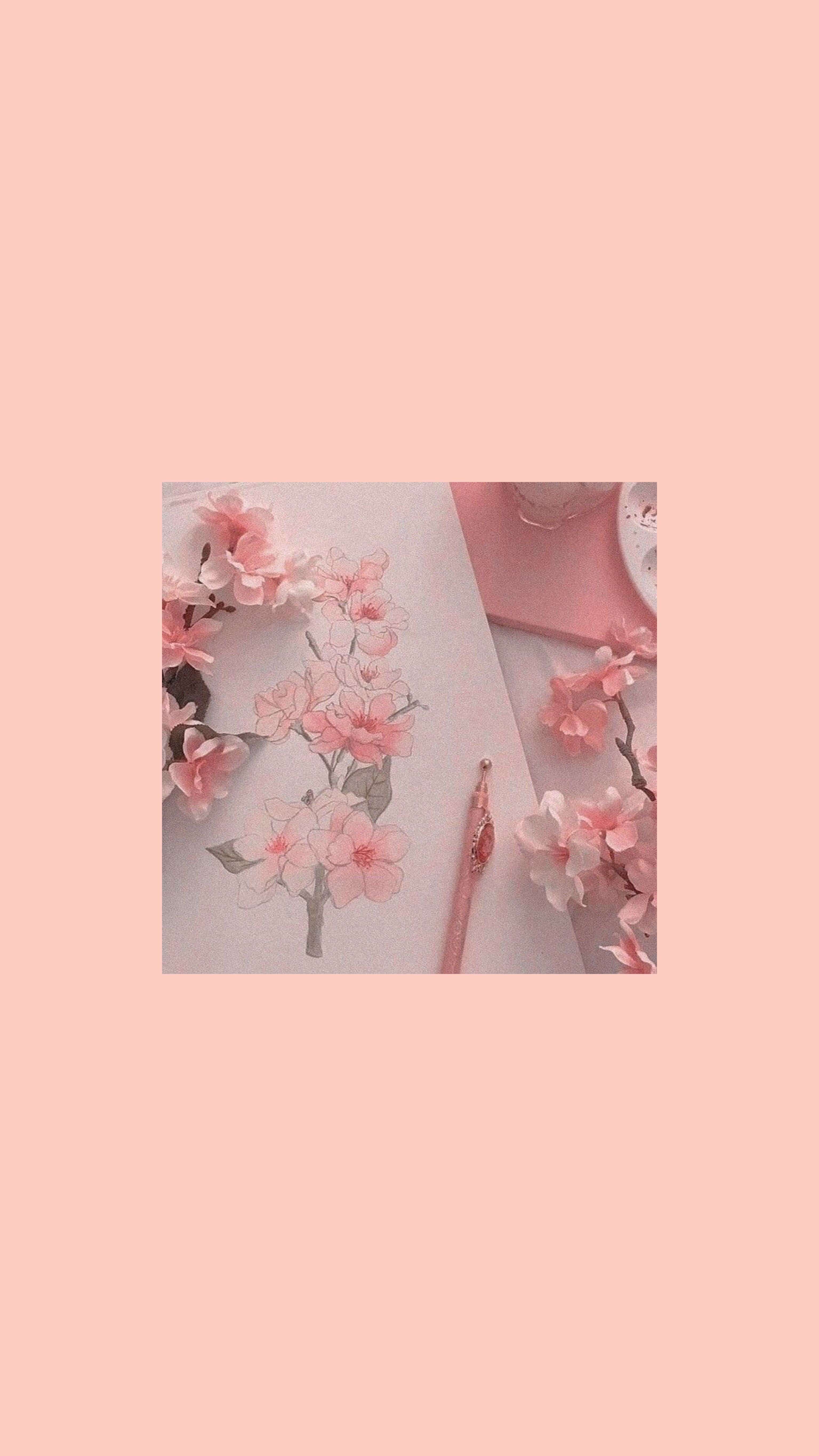 Pastel Peach Aesthetic Wallpapers