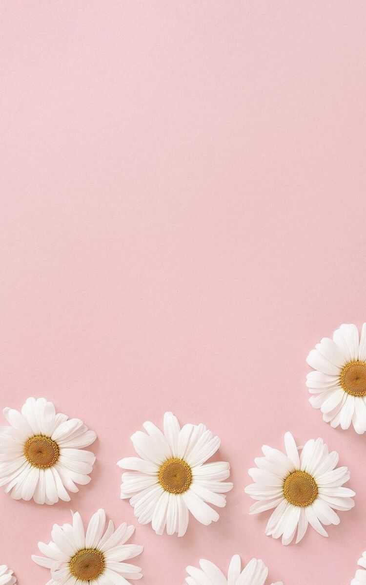 Pastel Pink Aesthetic Pc Wallpapers