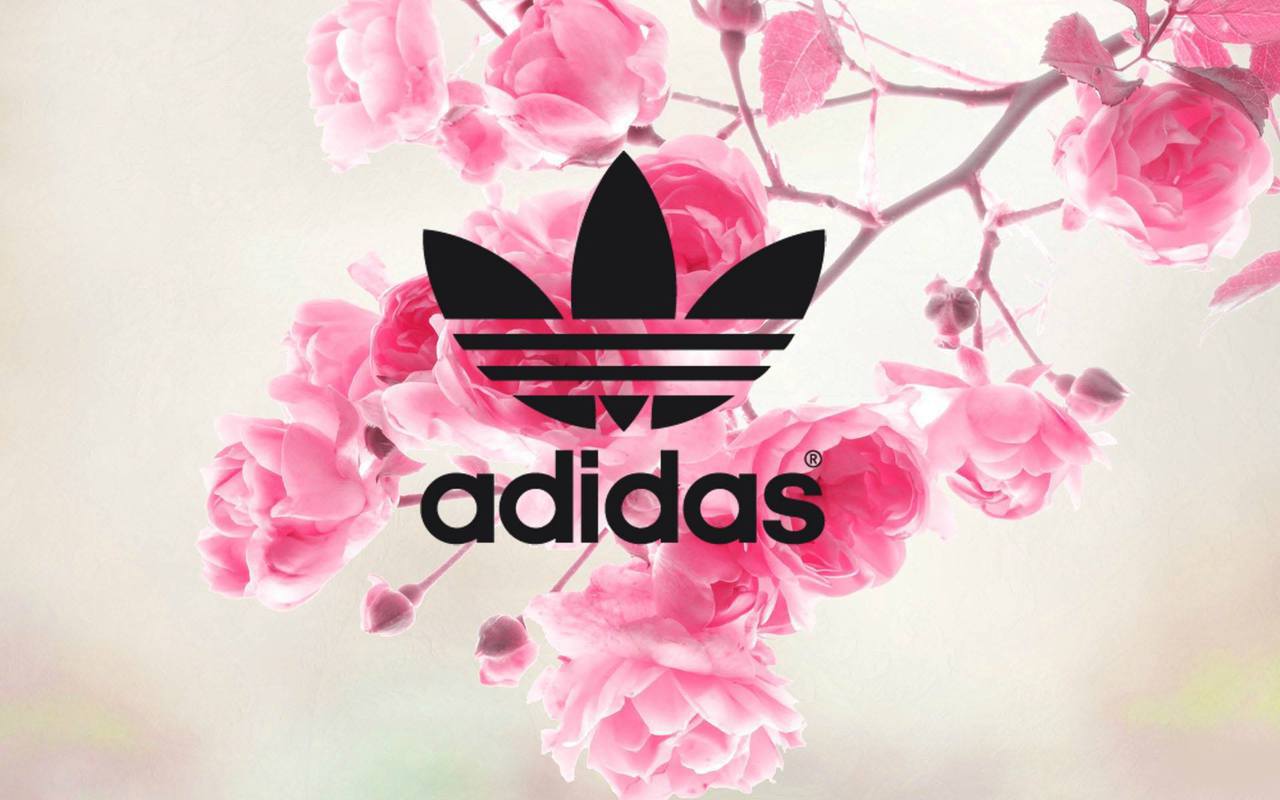 Pink Adidas Logo Wallpapers