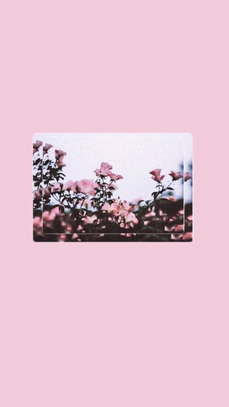 Pink Aesthetic Tumblr Laptop Wallpapers