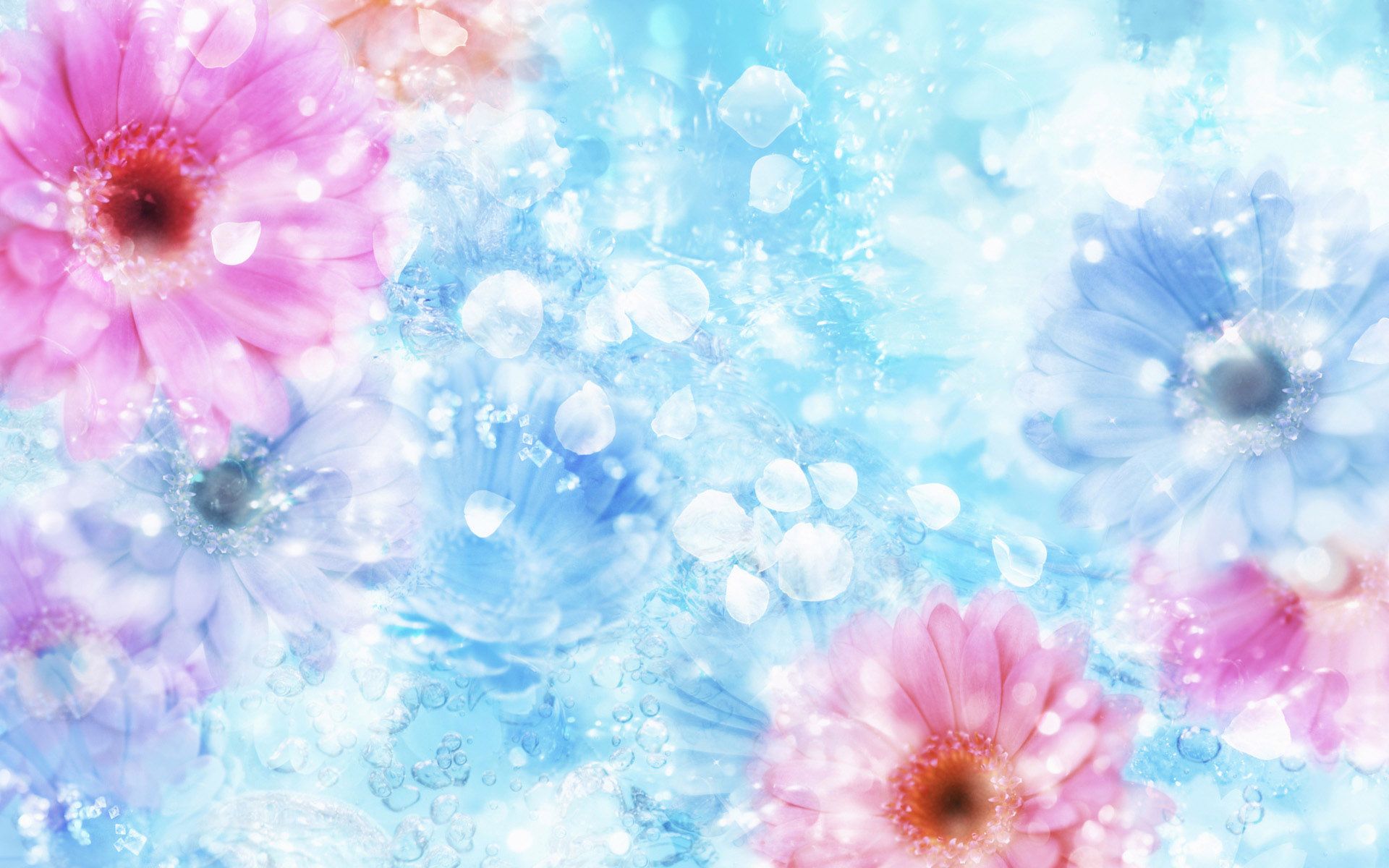 Pink And Blue Flowers Wallpapers