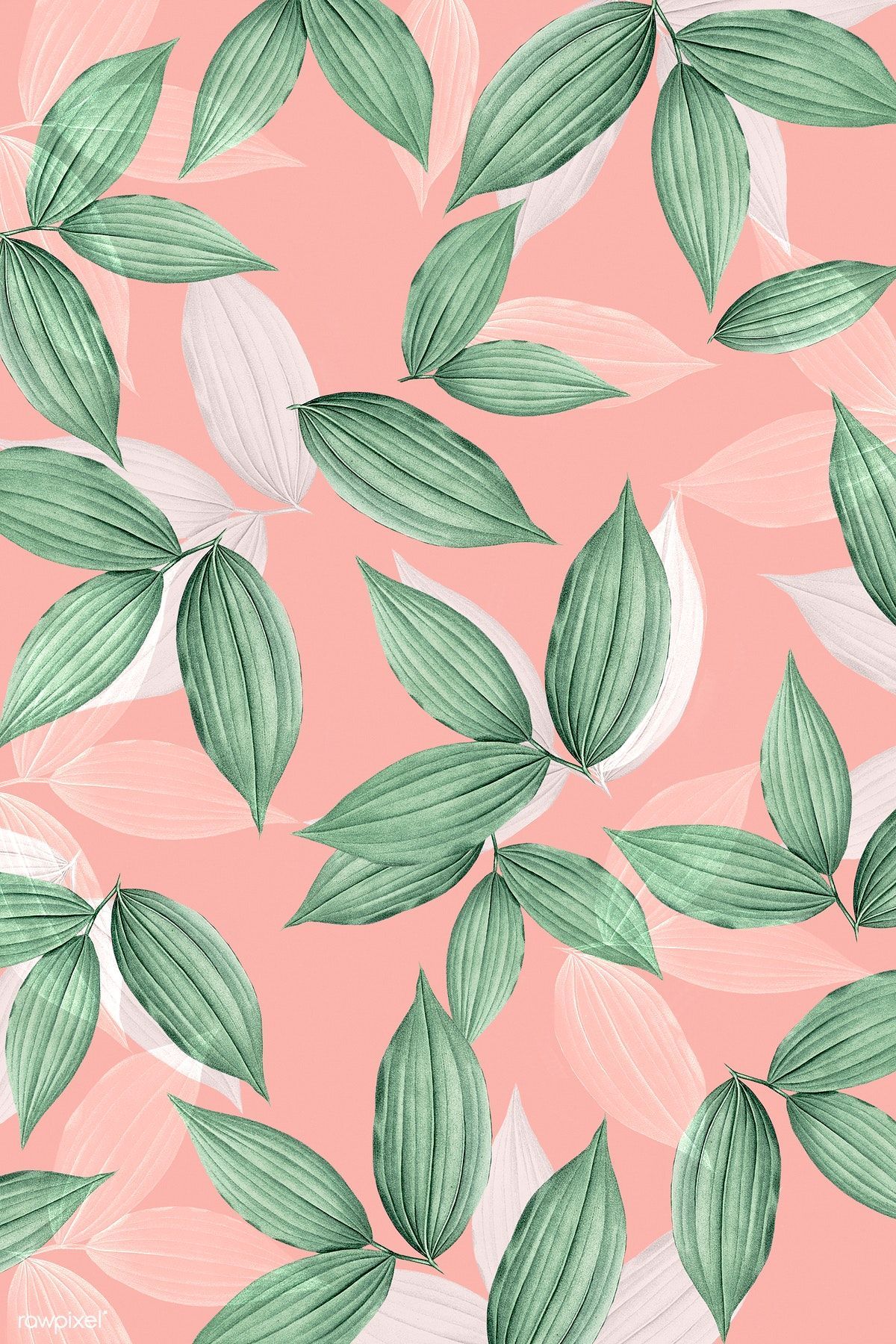 Pink And Green Aesthetic Wallpapers