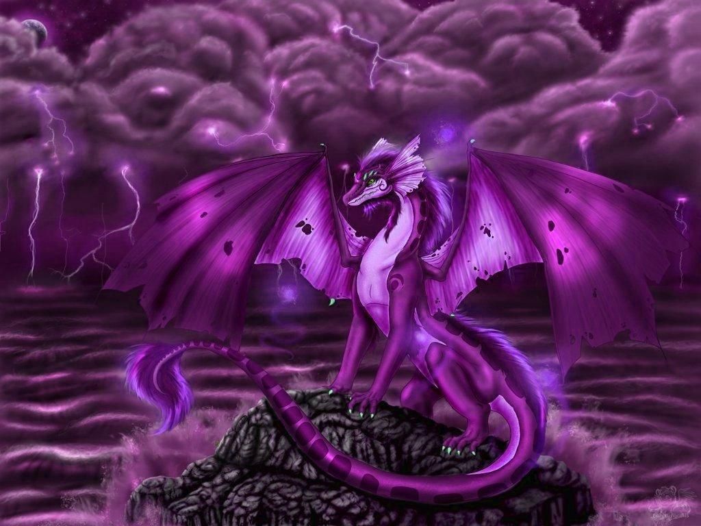 Pink And Purple Dragon Wallpapers