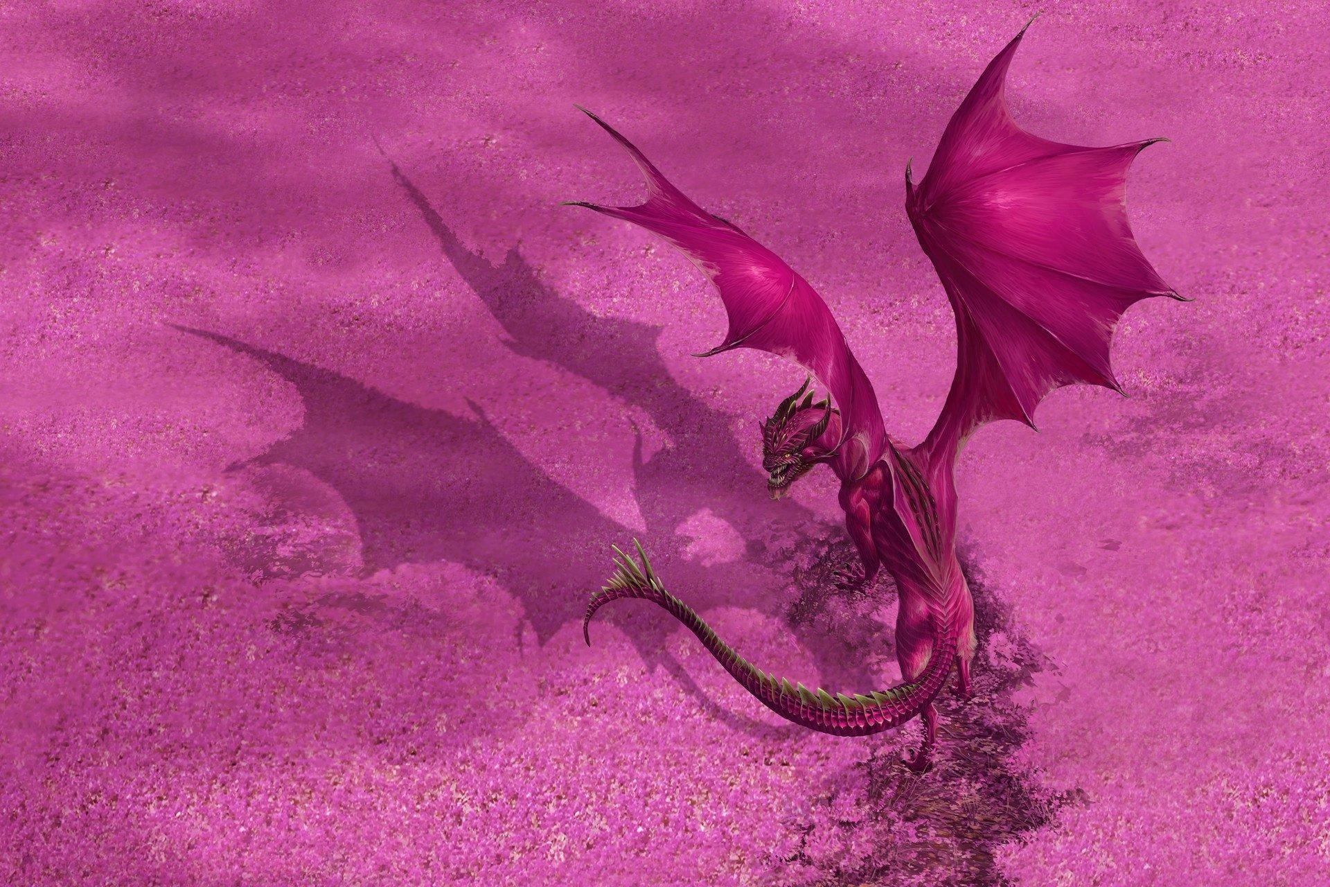 Pink And Purple Dragon Wallpapers