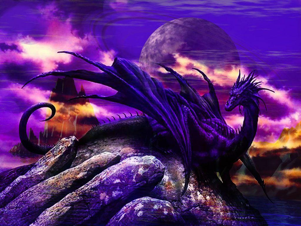 Pink And Purple Dragon Wallpapers