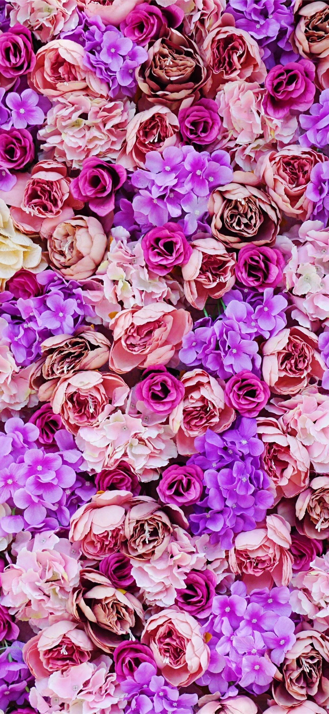 Pink And Purple Flower Wallpapers